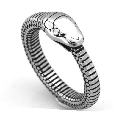 Bague Serpent Ouroboros Ecaille Acier présentation